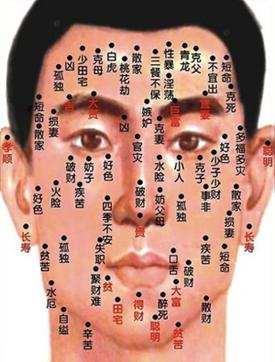 普遍特征：商业领袖面相学的共性