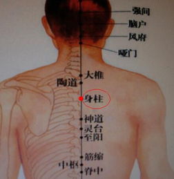 二、 经络走向及“一穴通七经”之理论依据