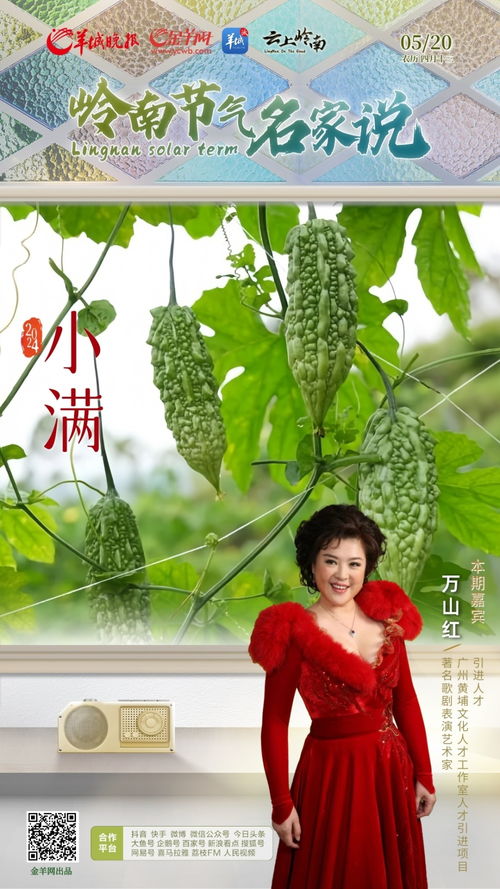 小满与521的浪漫故事：缘分的巧合与天时的眷顾