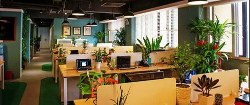 四、  五行生克与色彩搭配：个性化财运能量的精准匹配