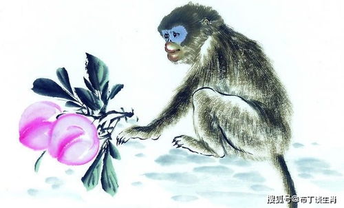 2026年属猴的人佩戴什么吉祥物可以避小人旺事业？