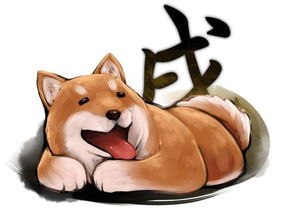 2026年属狗的人还需要使用化太岁锦囊吗？属狗人2026年犯太岁是什么意思？