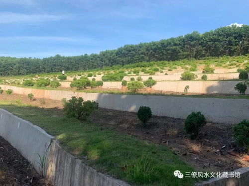 （二） 乘生气的元运法则