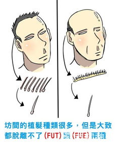 噩梦的启动