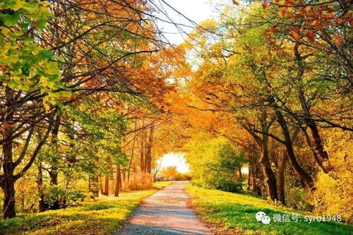 一、 别称乱弹琴（乱七八糟版）