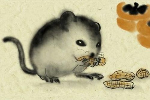 1972年属鼠男性2026年财运如何分析？