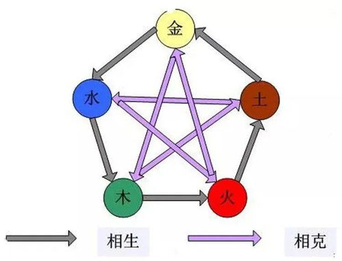 子轩名字五行属性