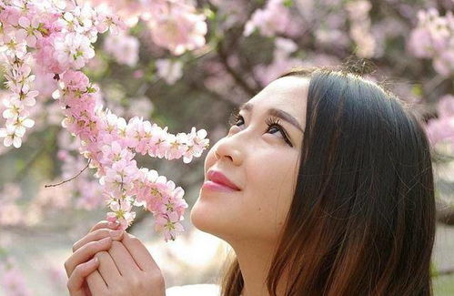 一、  生肖视角下的离异女性运势演变：以虎、猪、牛为例