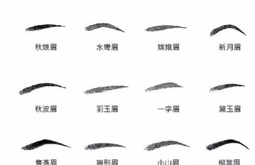 一、 传统面相学对右眉特长的记载与解读