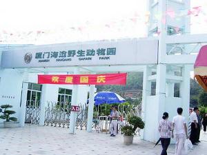 第三方平台：折扣与陷阱齐飞