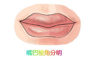 二、 圆润丰满型下颚：情义深重且乐观向上的人生轨迹