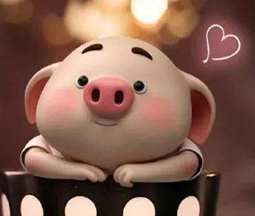 2026年出生的女猪宝宝姓胡，有没有什么好用的取名神器推荐？