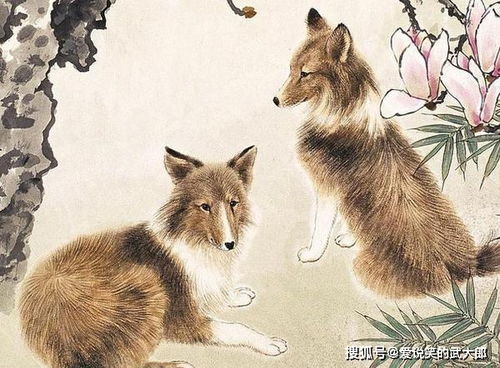 属龙与属狗财运相克，老公属狗我属龙，这样的组合好不好？