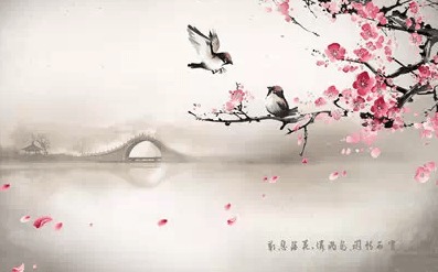探究背景与目的