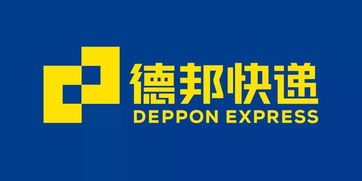 上海的“先锋”，到底啥样儿？