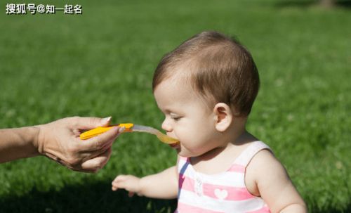 五、 改名时机与行政投入成本考量
