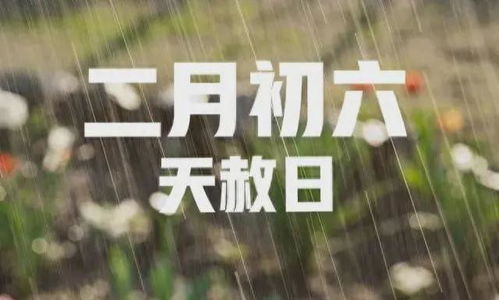 熊刀起名术的应用