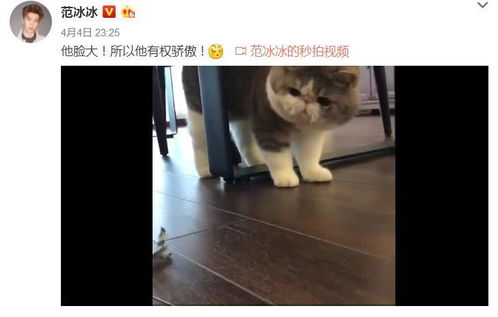 六、 心理状态学视角：集体潜意识与情绪共振