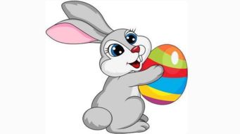 见异思迁指的是哪种动物，能改写为长尾吗？