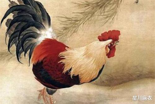 2026年1月属鸡整体运势及1月10日具体运势分别是什么？