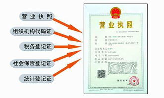 第一章：从噪音中挖掘灵感