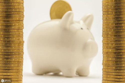 总体运势概览：挑战与机遇交织