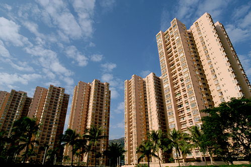 空间结构的演进与功嫩性优化