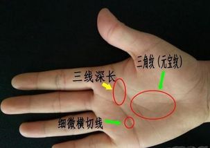 一、 ：双掌元宝纹的文化底蕴内涵与现代化解读