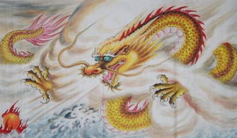 2026年属龙的人为什么不能穿某些颜色衣服，而适合穿什么颜色呢？