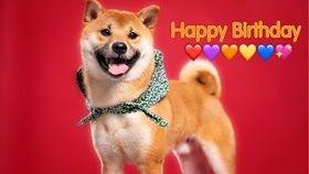 “飞盘奇门”与案例分析：技术细节与逻辑推演