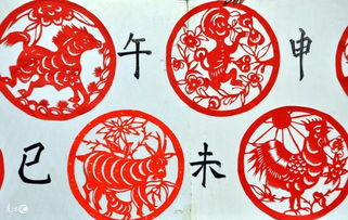 八字忌水会带来哪些影响？八字喜忌与生肖如何匹配？