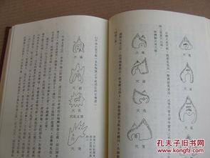 第二章：核心秘诀的揭示——“二十四山”与“火坑”