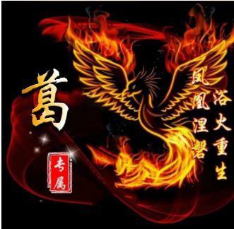 1. 火生土还是土养火？