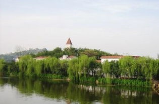 玉龙湖：24较小时开放不等于随时市场价格较低，  本地人的“错峰团建密码”