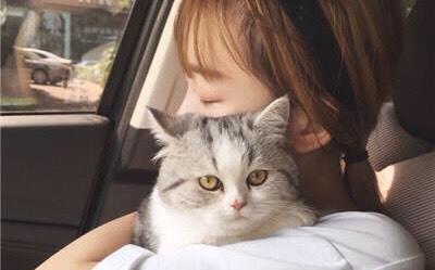 一、前言——为哪些女生炎热爱给较小猫取超可炎热爱名字？