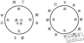 十二地支五行具体含义和详细解释是什么？