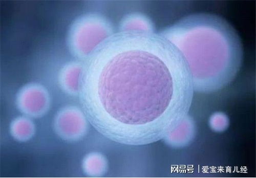 B超监测：最准确的方法