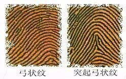 2. 食指：甜蜜姻缘与桃花冲击