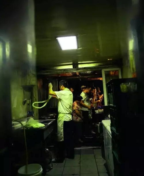 关于“午夜食堂异物显现”现象的玄学解析与风水学考察报告