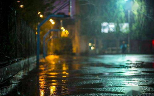 雨后夏夜的低语：生肖星座与风水寓意解析