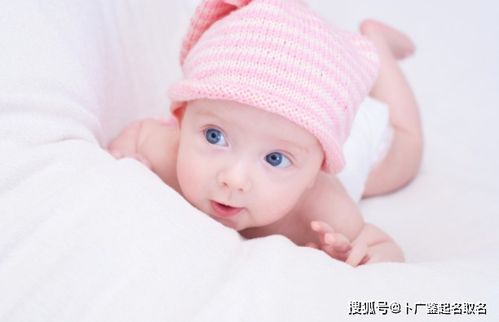 起名之前：你真的准备好了吗？