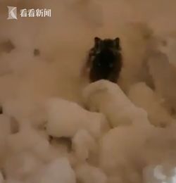 心理状态作用于
