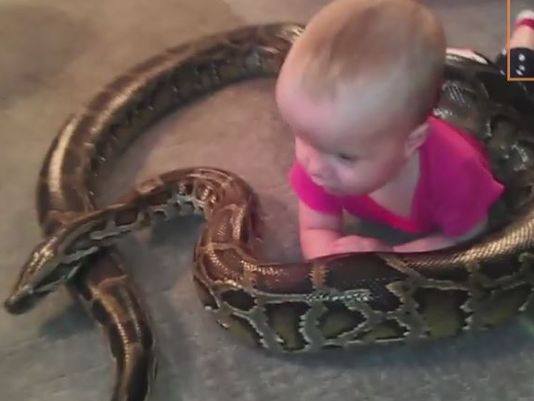 2026年农历六月出生的蛇宝宝，农历哪个月出生对蛇宝宝最好？