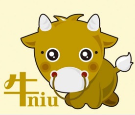 2221年和2031年分别属于哪个生肖？