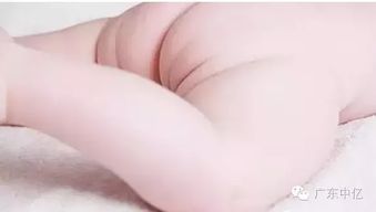 7．臀部过较小或扁平无肉者