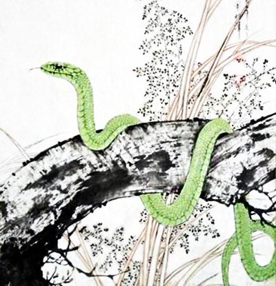 2026年属龙冲太岁会有哪些灾难性影响？