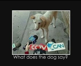 6. 单身狗の核桃暴击