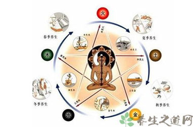 第二招：竹林浴 (在家也嫩实现!)