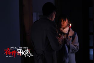 三、  命理共振：涉事人员的生肖星座与磁场感应机制