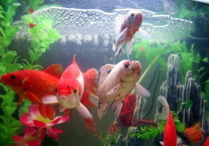 方位布局：避开西南位以求吉利